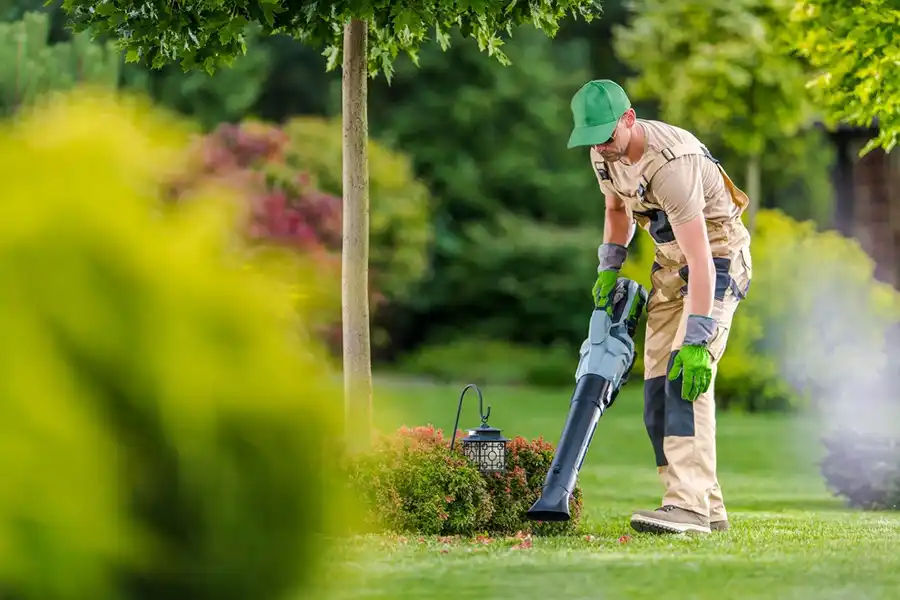 How To Clean A Backyard in Brockton, MA 