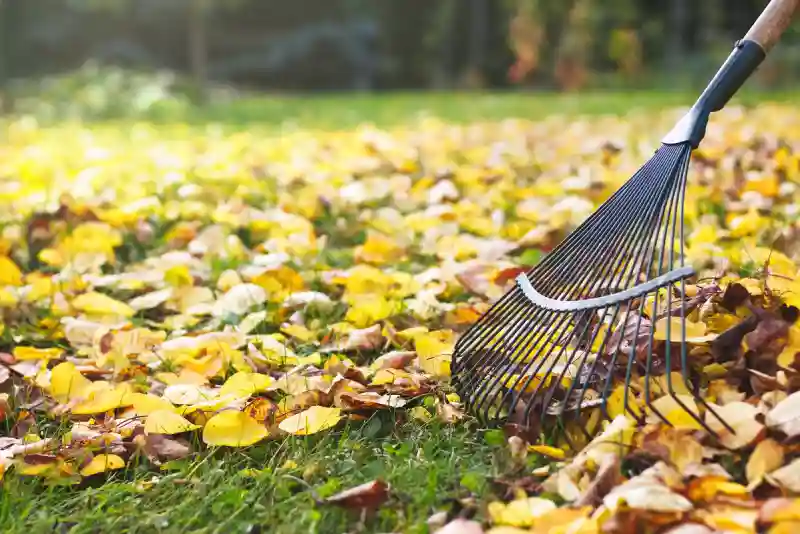 How to clear a yard full of weeds in Brockton, MA 