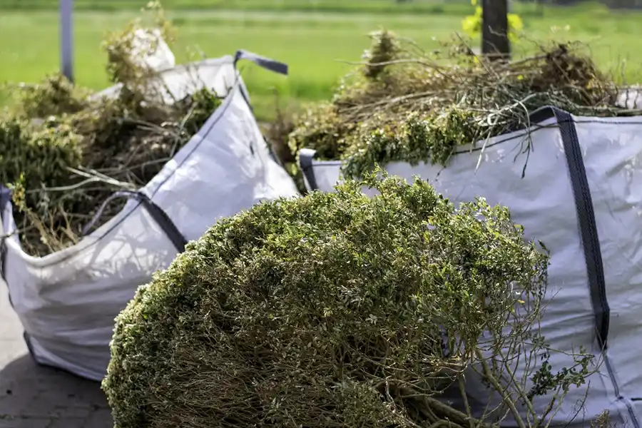 How to clear a yard full of weeds in Brockton, MA 