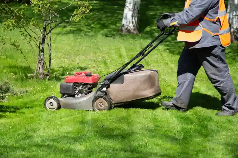 Professional Lawn Mowing Services in Brockton, MA 