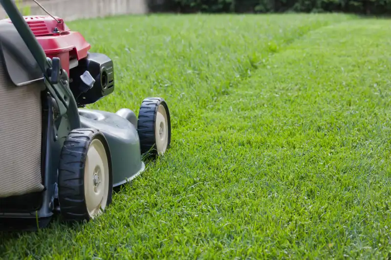 Reliable Lawn Mowing Services in Brockton, MA 