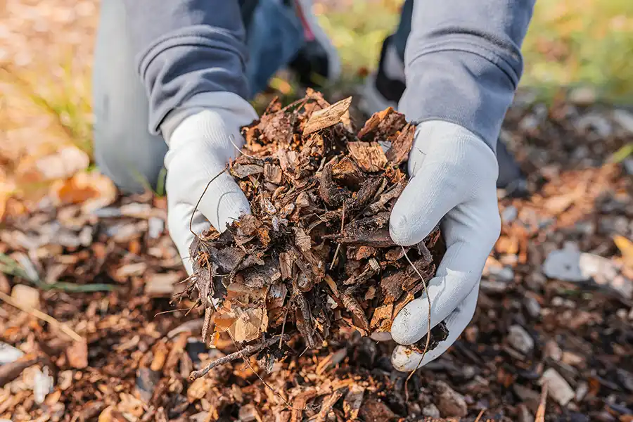 Outstanding Mulching Service in Brockton, MA 