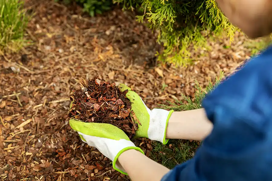 Professional Mulching Service in Brockton, MA 