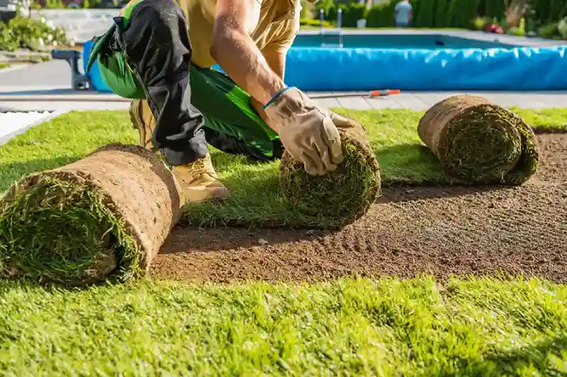 Professional Sod Installation Service in Brockton, MA 