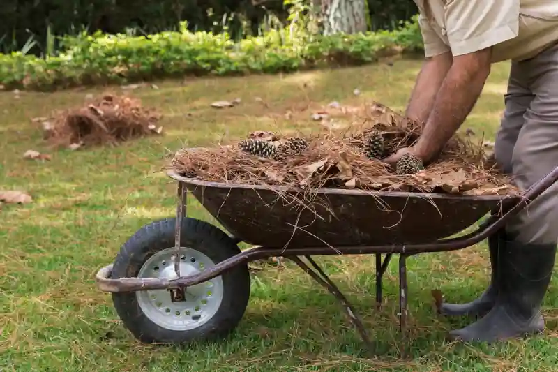 Outstanding Yard cleanup Service in Brockton, MA 