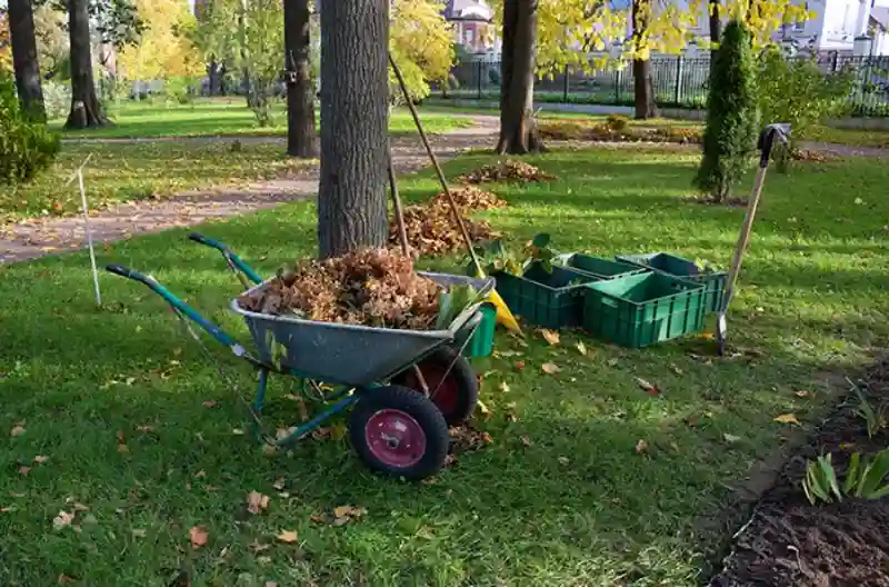 Reliable Yard cleanup Service in Brockton, MA 